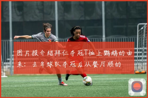 图片报介绍拜仁夺冠T恤上鹦鹉的由来：去年球队夺冠后从餐厅顺的