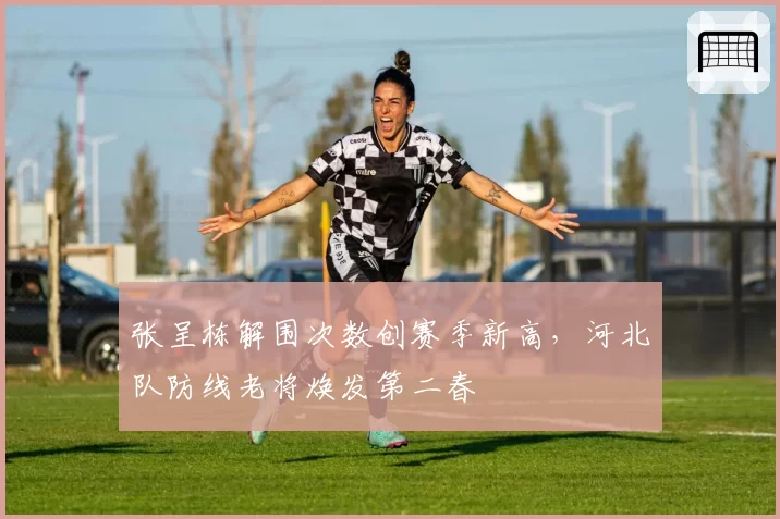 张呈栋解围次数创赛季新高，河北队防线老将焕发第二春