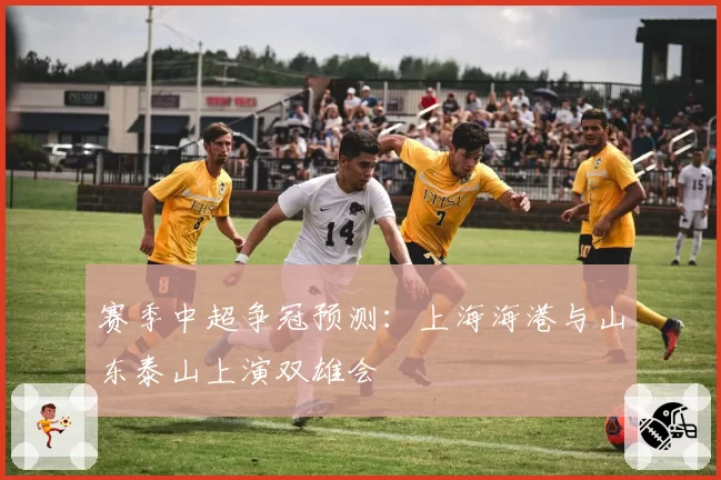 赛季中超争冠预测:上海海港与山东泰山上演双雄会