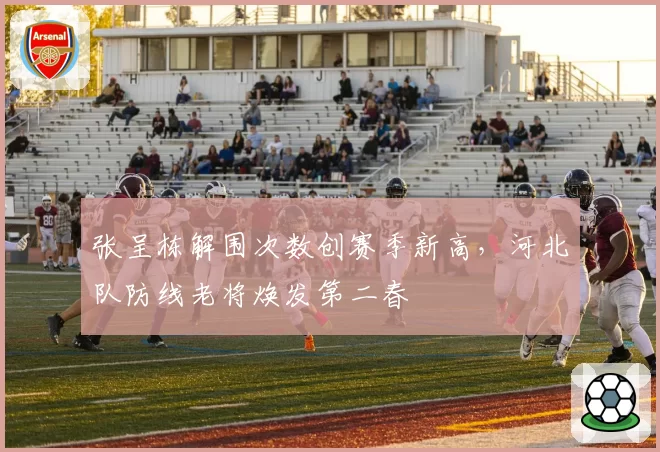 张呈栋解围次数创赛季新高，河北队防线老将焕发第二春